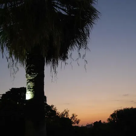 Endless Summer Pool Flat *