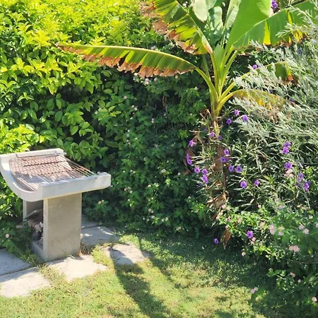 Endless Summer Pool Flat