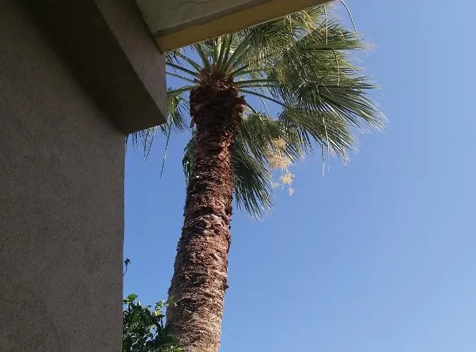 Endless Summer Pool Flat איקסיה