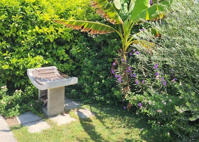 Endless Summer Pool Flat