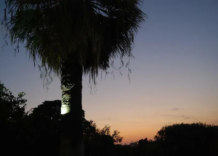 Endless Summer Pool Flat *